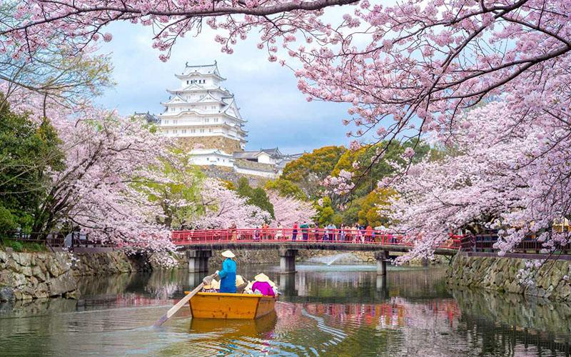 日本移民投資好嗎？深入分析日本投資移民的優(yōu)勢與挑戰(zhàn)