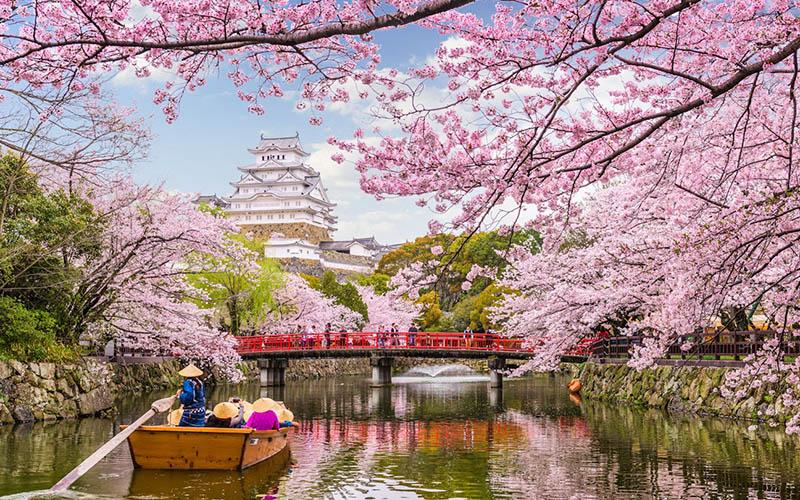 日本投資移民